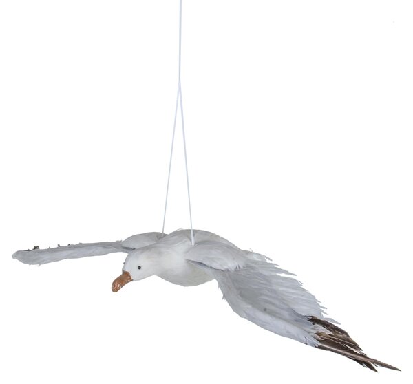 Gabbiano Larghezza 85 cm