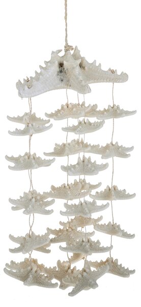 Decoro con Stelle Marine H 40 cm