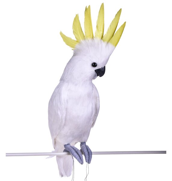 Pappagallo Cacatua H 54 cm