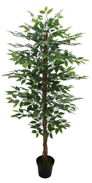 Pianta Artificiale Ficus Tree con Vaso 170 cm