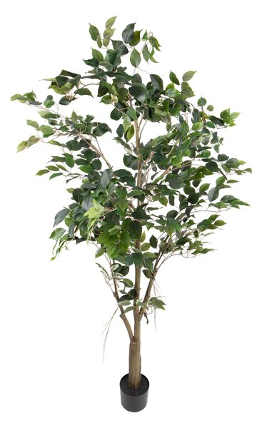 Pianta Artificiale Ficus con Vaso H 183 cm