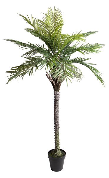 Pianta Artificiale Palma per 19 con Vaso 200 cm