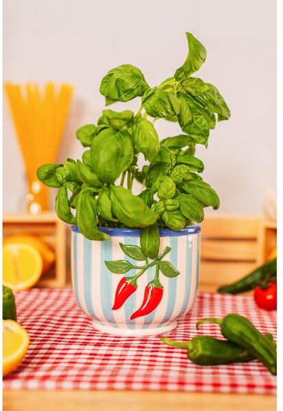 Coprivaso in ceramica ø 12 cm Chilli – Sass & Belle