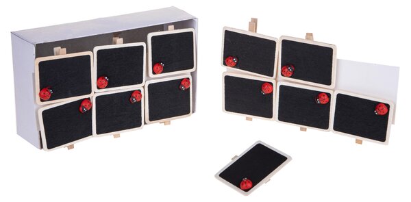 Set 12 Mollette con Lavagne Rettangolare e Coccinella Ø 6 cm