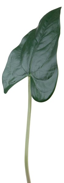 Set 12 Foglia Artificiali Anthurium 55 cm
