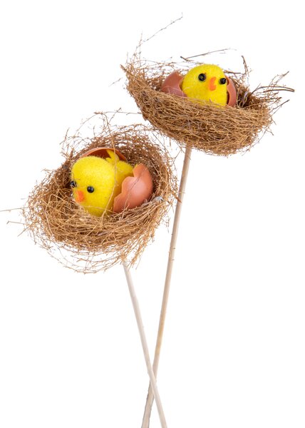 Set 12 Rami in Legno 25 cm Pulcuno Sopra Nido