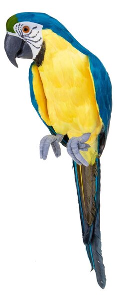 Pappagallo Blu Giallo H 43 cm