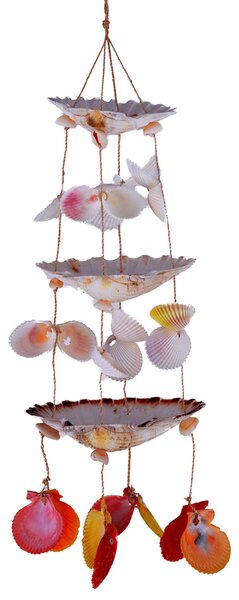 Set 2 Decori di Conchiglie H 42 cm