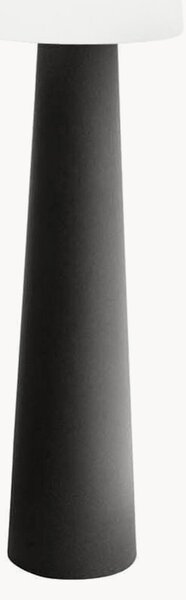 Lampada da terra solare a LED No. 1