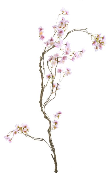 Set 2 Ghirlande con Fiori di Pesco 160 cm