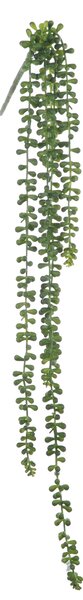 Set 2 Rami Artificiali Sedum Pendente con 5 Diramazioni H 74 cm
