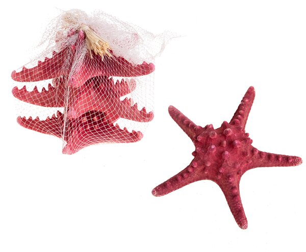 Set 6 Stelle 20 cm Colorata in Rete
