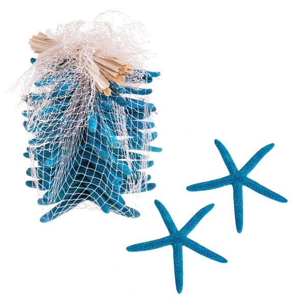 Set 30 Stelle Linckia Levigate 7x9 cm