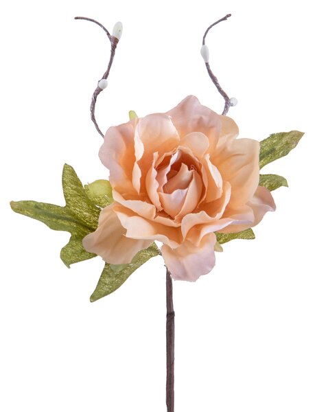 Set 24 Rami in Legno Rose Ø 8 cm