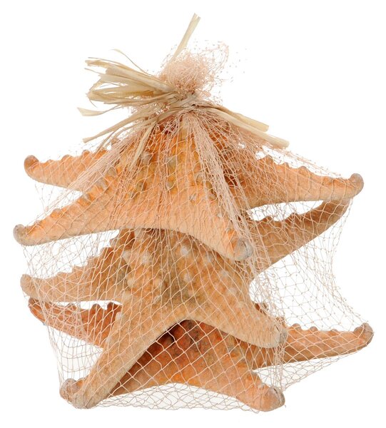 Set 12 Stelle Marine in Rete 20 cm
