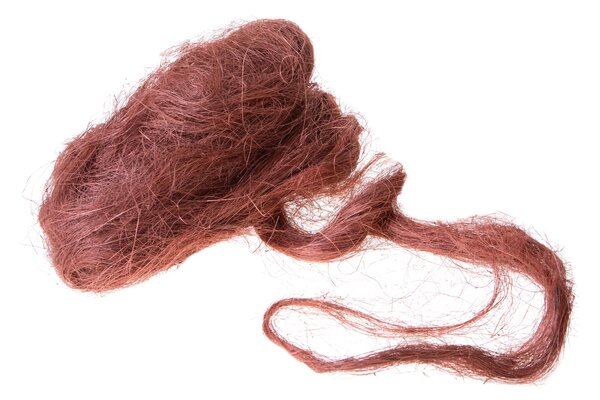 Set 800gr Fibra Naturale Sisal
