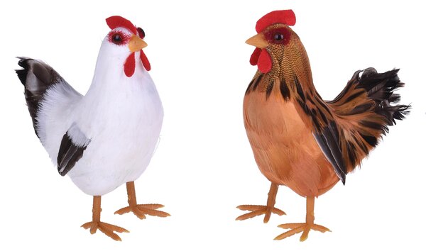 Set 4 Galline Decorative H 13 cm