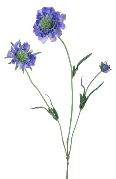 Set 6 Rami Artificiali Fiore di Scabiosa con 3 Diramazioni H 64 cm