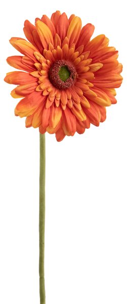 Set 8 Fiori Artificiali di Gerbera Singolo H 62 cm