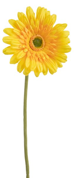 Set 8 Fiori Artificiali di Gerbera Singolo H 62 cm