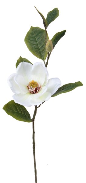 Set 8 Fiori Artificiali Magnolia 1+1 H 65 cm