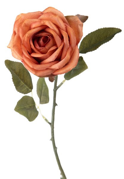 Set 8 Rose Artificiali Aperta Atezza 51 cm
