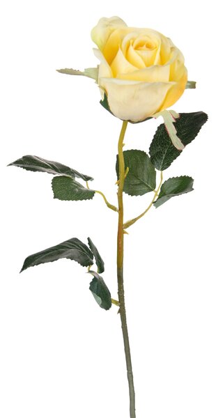 Set 8 Rose Artificiali Bacarat H 67 cm