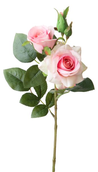 Set 8 Rose Artificiali Real Touch per 4 38 cm