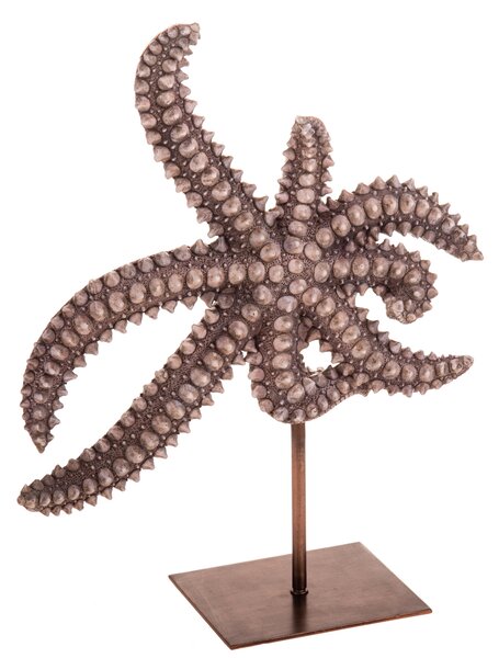 Stella Marina Resina H 34 cm