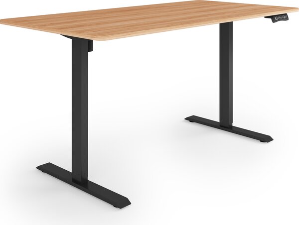 ESMART ETX-121BM 160x80cm Acero Scrivania ergonomica in piedi/seduta Regolabile elettricamente in altezza in modo continuo 73,5-123,5 cm 3x memoria Porta di ricarica USB Promemoria attività Avvio/arresto graduale Montaggio rapido