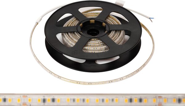 Striscia LED 220V 16W/m IP66 Dimmerabile Professional - Taglio 10cm – 20m