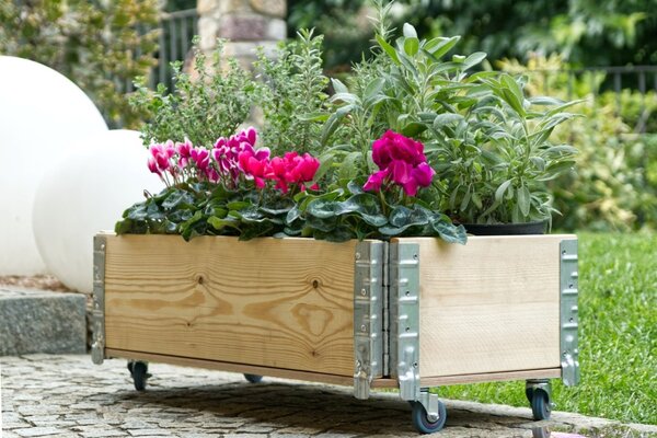 Fioriera da Giardino 40x80x28H cm con Ruote in Legno di Pino Grezzo