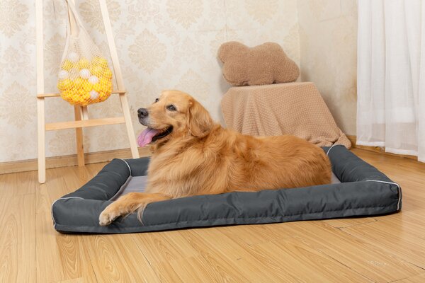 Raikou letto per cani divano per gatti letto per animali domestici copertura rimovibile e lavabile pavimento idrorepellente antiscivolo grigio dimensioni 100*80cm