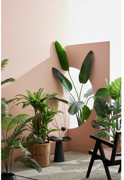 Monstera finta (altezza totale 120 cm) Philodendron – Bizzotto