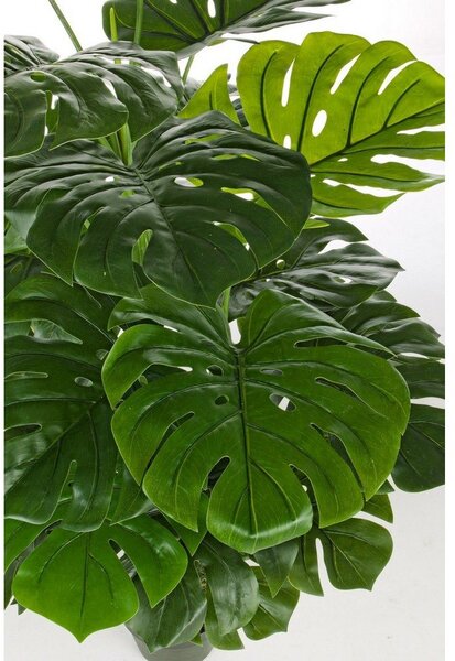 Monstera finta (altezza totale 120 cm) Philodendron – Bizzotto