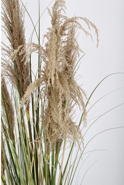 Pianta finta (altezza totale 145 cm) Austorderia – Bizzotto