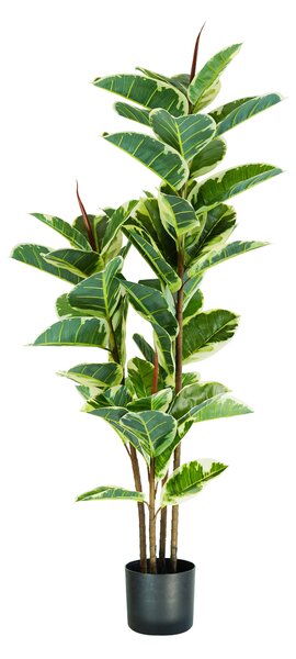 Pianta Artificiale Ficus Elastica H145 cm con Vaso Verde