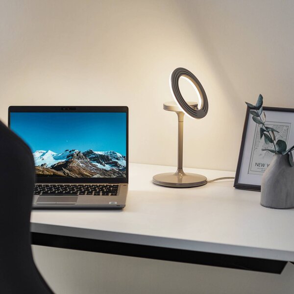 LTS Lampada LED tavolo Filigree, orientabile, grigio