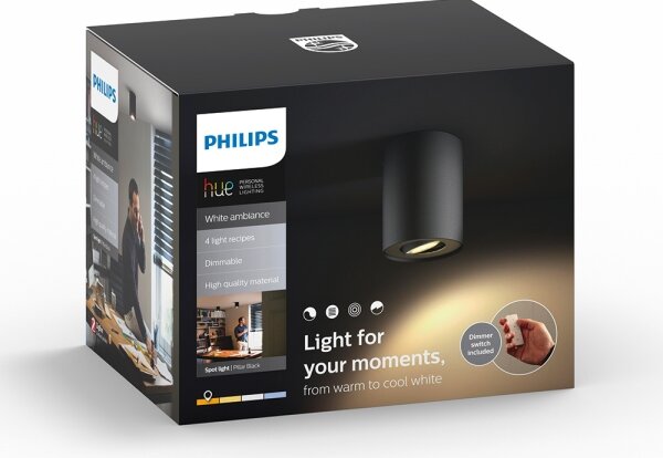 Philips 56330/30/P7 - Luce Spot a LED dimmerabile PILLAR Hue 1xGU10/5,5W