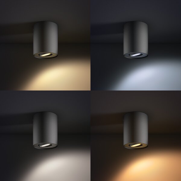 Philips 56330/30/P8 - Luce Spot a LED dimmerabile PILLAR Hue 1xGU10/5,5W