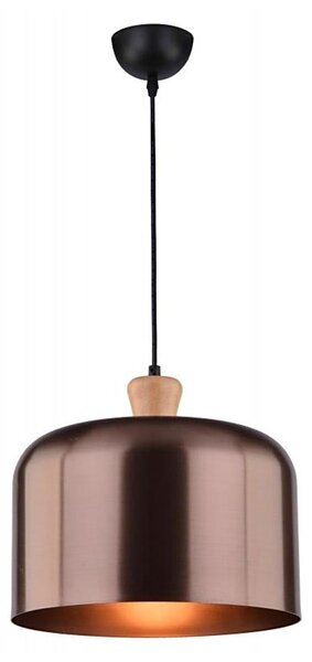 Lampadario a sospensione con filo DICTORIA 1xE27/40W/230V