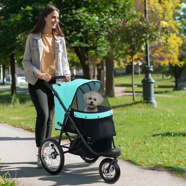 PawHut Hundebuggy, Carrozzina per animali domestici per piccoli cani e gatti, con cestino portaoggetti, design pieghevole con un clic, Turchese | Aosom Italy