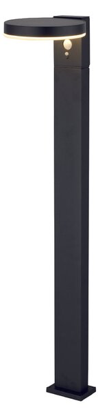 Lampioncino per Giardino ad Energia Solare da 600 Lumen "LMS-086"