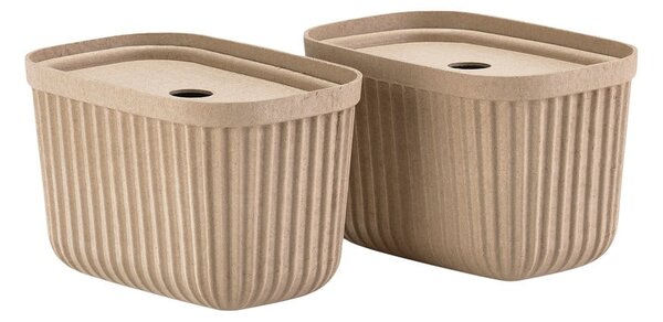 Scatole in set con coperchio marrone chiaro 2 pz 23x16x20,5 cm Pulp – Zone