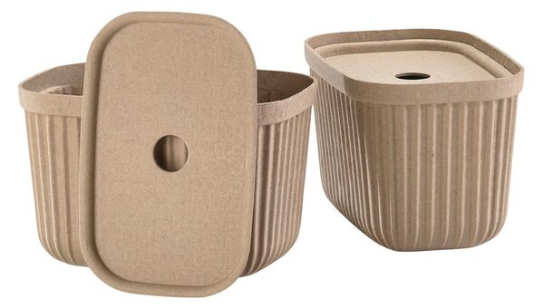 Scatole in set con coperchio marrone chiaro 2 pz 23x16x20,5 cm Pulp – Zone