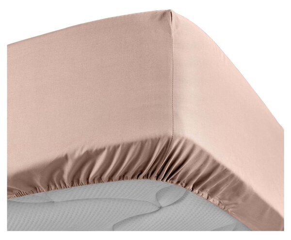 Lenzuolo rosa in percalle di cotone elasticizzato 180x200 cm Percaline - douceur d'intérieur