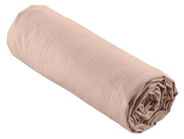 Lenzuolo rosa in percalle di cotone elasticizzato 180x200 cm Percaline - douceur d'intérieur