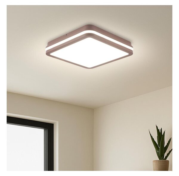 Brilagi -LED Plafoniera da esterno BENE LED/24W/230V 26x26 cm marrone IP54