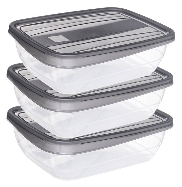 Scatole per alimenti 3 pz. Vedo - Curver
