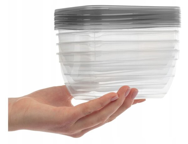 Scatole per alimenti 4 pz. Vedo - Curver